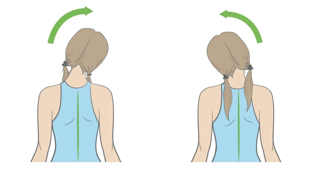 Гибкость и подвижность шейного отдела позвоночника, мышц, сухожилий  позволить улучшить турмалиновая накладка на шею